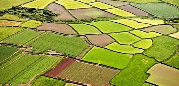 Maliye Bakanı Ağbal’dan 400 bin çiftçiye müjde