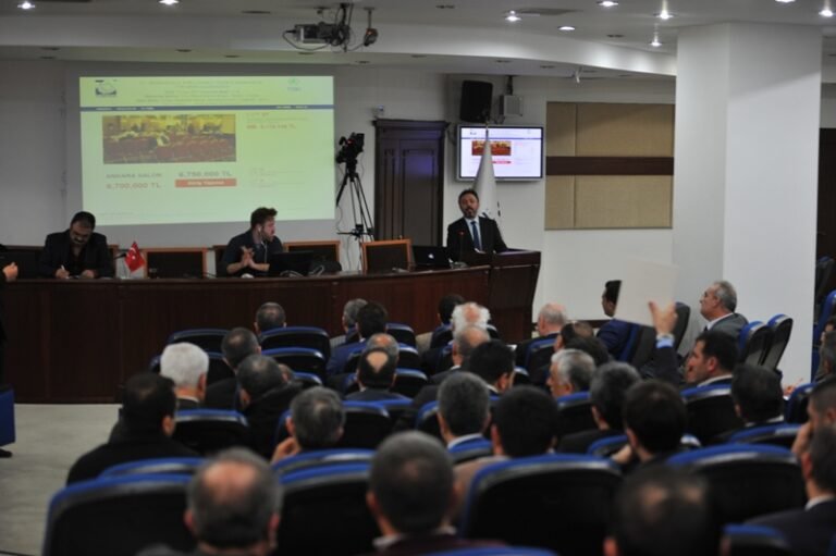 Toki Arsaları 163 Milyona Satıldı