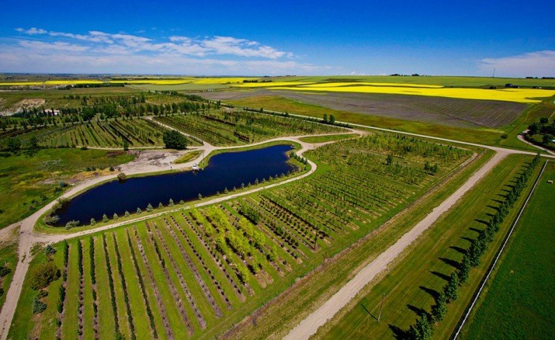 Atıl araziler için”Arazi Bankacılığı” geliyor