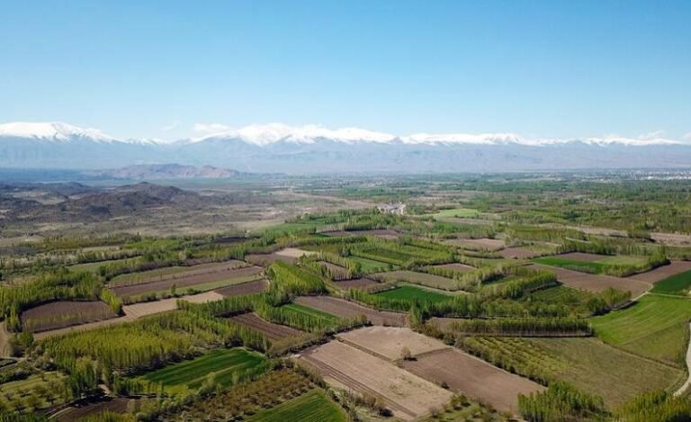 Kadın ve erkeklerin arsa sahiplik oranı