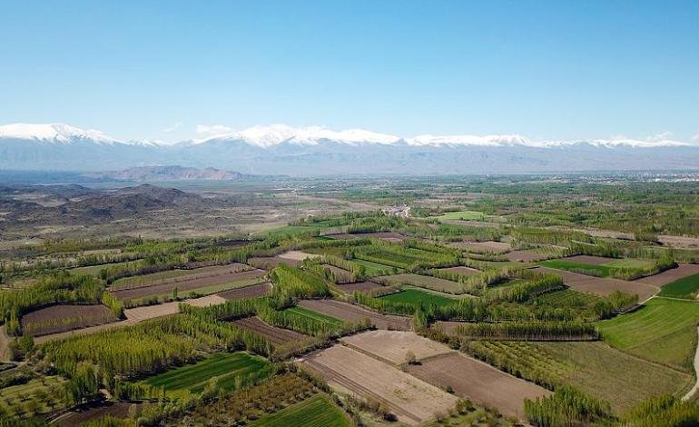 Kadın ve erkeklerin arsa sahiplik oranı