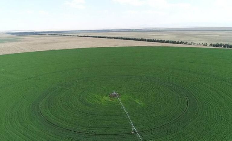 Hazine arazileri çiftçilere kiralanacak