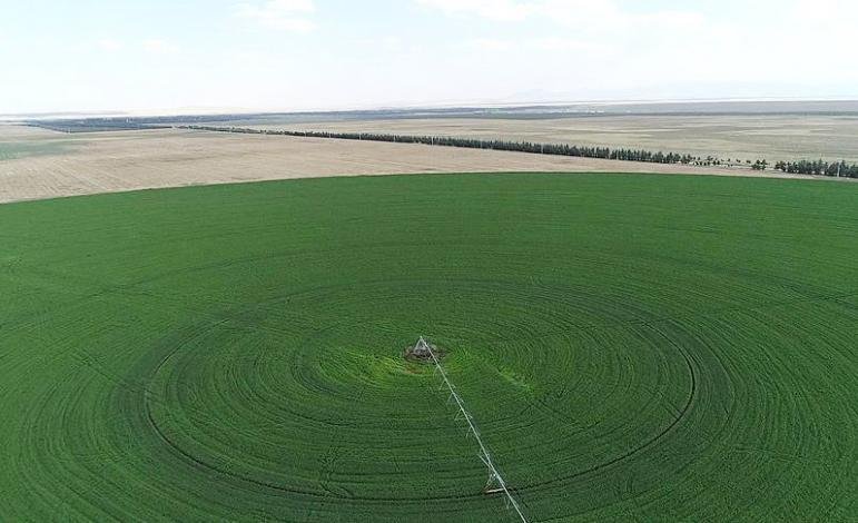 Hazine arazileri çiftçilere kiralanacak