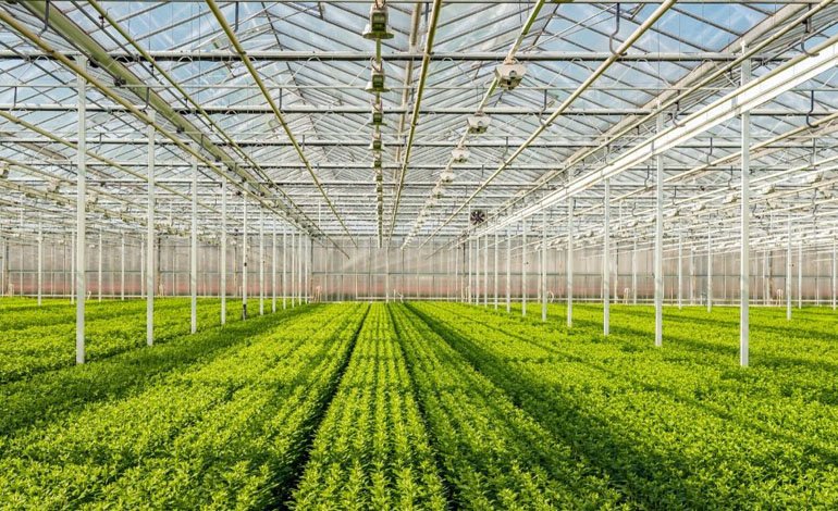 Antalya’da Örtü Altı Tarımı Gelişerek Tarla Birim Fiyatlarını Etkiliyor