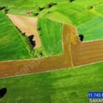 KARADAVUTLU’DA ANA ASFALTA CEPHE K.M.O GİŞELERE YAKIN 11.745 m2 - Fotoğraf 4