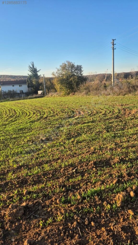 Cumaköy de Otoban Cepheli Satılık Tarla