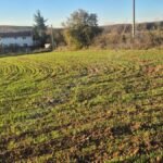 CUMAKÖY SATILIK VİLLA İMARLI ARSA - Fotoğraf 5