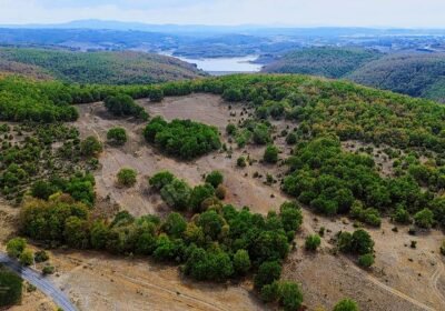 Gebze satılık arsa - Fotoğraf 1