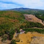 GEBZE DENİZLİDE 1200 METREKARE İNŞAATA HAZIR VİLLA İMARLI ARSA - Fotoğraf 2