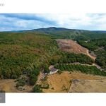 GEBZE DENİZLİDE İNŞAATA HAZIR VİLLA İMARLI ARSA - Fotoğraf 3