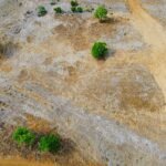 GEBZE DENİZLİDE 1200 METREKARE İNŞAATA HAZIR VİLLA İMARLI ARSA - Fotoğraf 3