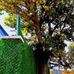 GEBZE/DENİZLİ’DE 1044 M2 MÜSTAKİL PARSEL SİT ALANI - Fotoğraf 3