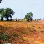 GEBZE/DENİZLİ’DE 1044 M2 MÜSTAKİL PARSEL SİT ALANI - Fotoğraf 5