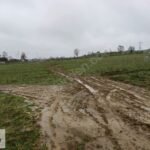 Tinny House veya Hobi Bahçesi Yapımına Uygun Doğa Manzaralı Arsa - Fotoğraf 5