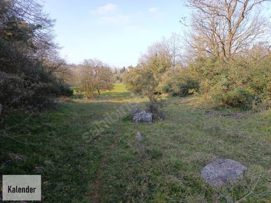 Mollafenari de Toplu Konut Alanın da 200 m2 Hisseli Arsa