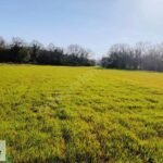 Gebze Mollafenari de 130 m2 Konut Alanında Hisseli Arsa - Fotoğraf 2