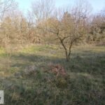 Mollafenari de Toplu Konut Alanın da 200 m2 Hisseli Arsa - Fotoğraf 3