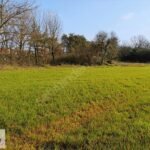 Gebze Mollafenari de 130 m2 Konut Alanında Hisseli Arsa - Fotoğraf 3