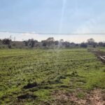 GEBZE AKVİRANDA 1 EMSAL KONUT ALANINDA YERİ BELLİ ARSALAR - Fotoğraf 2