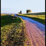 MOLLAFENARİ’DE 411 M² SATILIK 1 EMSAL ARSA - Fotoğraf 2