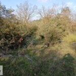 Mollafenari de Toplu Konut Alanın da 200 m2 Hisseli Arsa - Fotoğraf 4