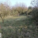 Mollafenari de Toplu Konut Alanın da 200 m2 Hisseli Arsa - Fotoğraf 5