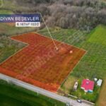 BEŞEVLER’DE ASFALTA 80 mt. CEPHELİ KÖYÜN BAŞINDA 6.167 M2 - Fotoğraf 2