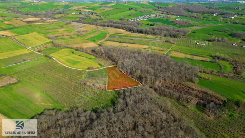 AMBARCI’DA GİŞELERE YAKIN ORMANA SINIR 4.034 M2 FINDIK BAHÇESİ