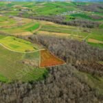 AMBARCI’DA GİŞELERE YAKIN ORMANA SINIR 4.034 M2 FINDIK BAHÇESİ - Fotoğraf 1