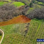 AMBARCI’DA GİŞELERE YAKIN ORMANA SINIR 4.034 M2 FINDIK BAHÇESİ - Fotoğraf 2