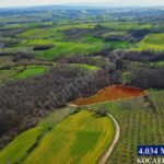 AMBARCI’DA GİŞELERE YAKIN ORMANA SINIR 4.034 M2 FINDIK BAHÇESİ - Fotoğraf 3