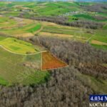 AMBARCI’DA GİŞELERE YAKIN ORMANA SINIR 4.034 M2 FINDIK BAHÇESİ - Fotoğraf 4