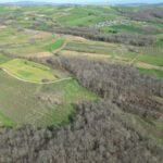 AMBARCI’DA GİŞELERE YAKIN ORMANA SINIR 4.034 M2 FINDIK BAHÇESİ - Fotoğraf 5