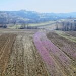 İZMİT AKMEŞE BAĞLICA’DA RESMİ YOLA CEPHE GİŞELERE 3 km 1.479 m2 - Fotoğraf 5
