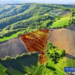 BAĞLICA’DA K.M.O. GİŞELERE YAKIN RESMİ YOLA CEPHE 19.583m2 TARLA - Fotoğraf 5