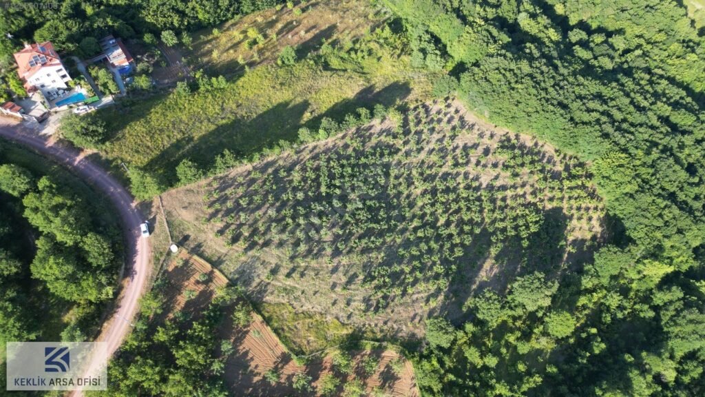 GÜLBAHÇE KADRİYE’DE YOLA CEPHE YERLEŞİME YAKIN 11.475 M2 FINDIK