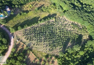 İzmit satılık arsa - Fotoğraf 1