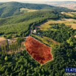 GÜLBAHÇE KADRİYE’DE YOLA CEPHE YERLEŞİME YAKIN 11.475 M2 FINDIK - Fotoğraf 2