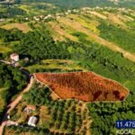 GÜLBAHÇE KADRİYE’DE YOLA CEPHE YERLEŞİME YAKIN 11.475 M2 FINDIK - Fotoğraf 4