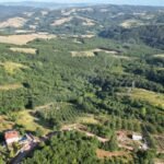 GÜLBAHÇE KADRİYE’DE YOLA CEPHE YERLEŞİME YAKIN 11.475 M2 FINDIK - Fotoğraf 5