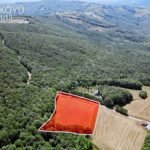 İZMİT AKMEŞE SULTANİYE KÖYÜ’NDE 6.670 m2 ARSA - Fotoğraf 5