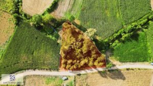 KANDIRA ÖMERLİ’DE K.M.O GİŞELERE YAKIN YOLLU KELEPİR 2.311m2