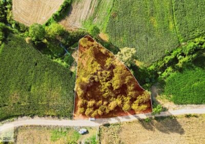 Kandıra satılık arsa - Fotoğraf 1