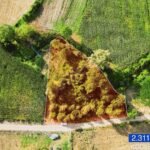 KANDIRA ÖMERLİ’DE K.M.O GİŞELERE YAKIN YOLLU KELEPİR 2.311m2 - Fotoğraf 4