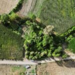 KANDIRA ÖMERLİ’DE K.M.O GİŞELERE YAKIN YOLLU KELEPİR 2.311m2 - Fotoğraf 5