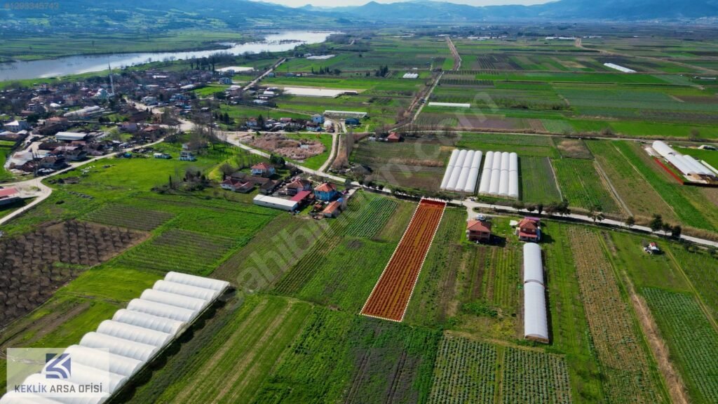 SAKARYA PAMUKOVA ÇARDAK’TA ANAYOLA CEPHE 1950 M2 %40 İMARLI ARSA