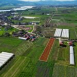 SAKARYA PAMUKOVA ÇARDAK’TA ANAYOLA CEPHE 1950 M2 %40 İMARLI ARSA - Fotoğraf 1