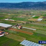 SAKARYA PAMUKOVA ÇARDAK’TA ANAYOLA CEPHE 1950 M2 %40 İMARLI ARSA - Fotoğraf 5